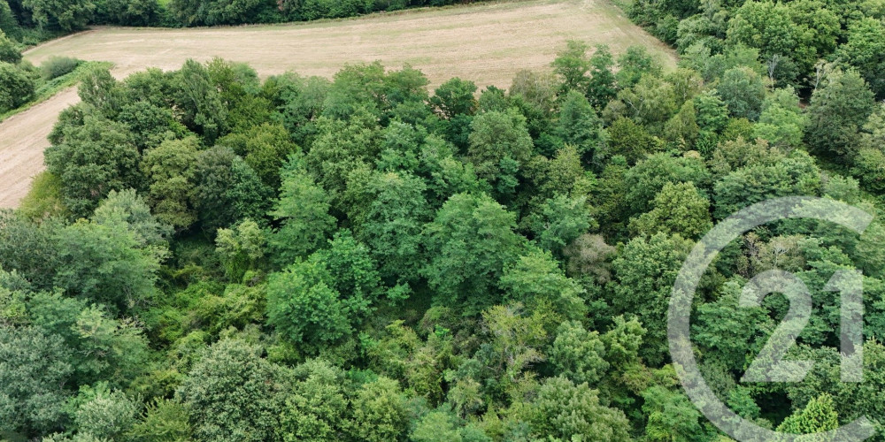 terrain à SALIES DE BEARN (64270)